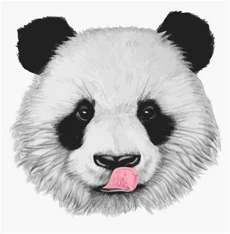 Panda Drawing Realistic Janeesstory