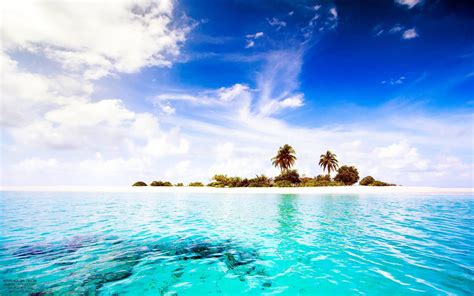 Photography Landscape Island Tropical Water Sea Palm Trees Plants Wallpapers Hd Desktop