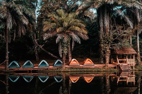 Hd Wallpaper Six Green And Orange Camping Tents Set Up Beside Cottage