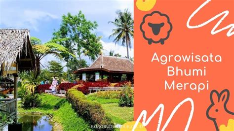 Agrowisata Bhumi Merapi Wisata Edukasi Yang Instagramable Jogja Tour