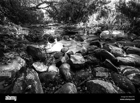 Black And White Landscape Of Rocks And Water At Dan River Nature