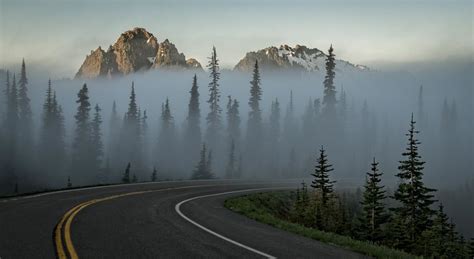 Into The Fog Mount Rainier National Park Washington — Lens Eyeview