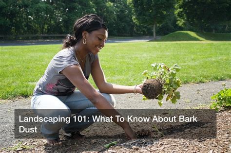 Landscaping 101 What To Know About Bark Dust Diy Home Decor Ideas