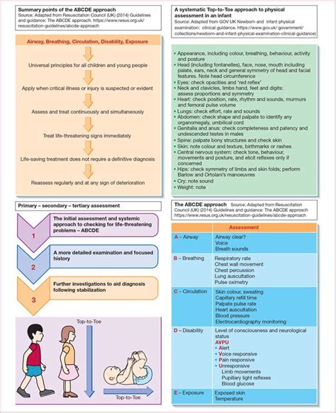 Principles Of Systematic Assessment Nurse Key