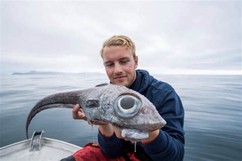 Fisherman Catches Strange ‘dinosaur Like Fish Photo Star Mag