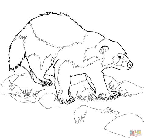 How To Draw A Wolverine Animal Easy Bornmodernbaby