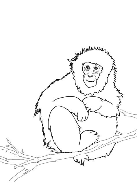 Free Printable Monkey Coloring Pages For Kids