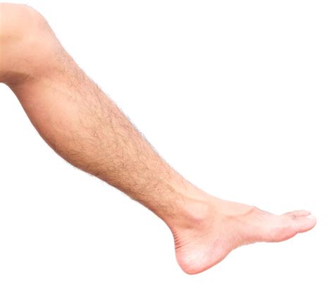 Hair Loss On Your Legs You Might Have A Vascular Problem
