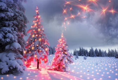 Christmas Photography Backdrops Fire Sparks Christmas Tree On The Snow