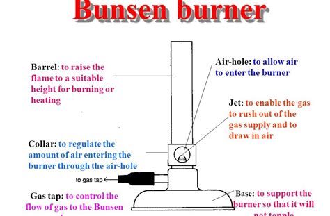 Parts Of A Bunsen Burner Their Functions Sciencing Vrogue Co