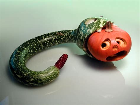 Gourd Snake Swallowing A Baby Pumpkin 4 Steps With Pictures