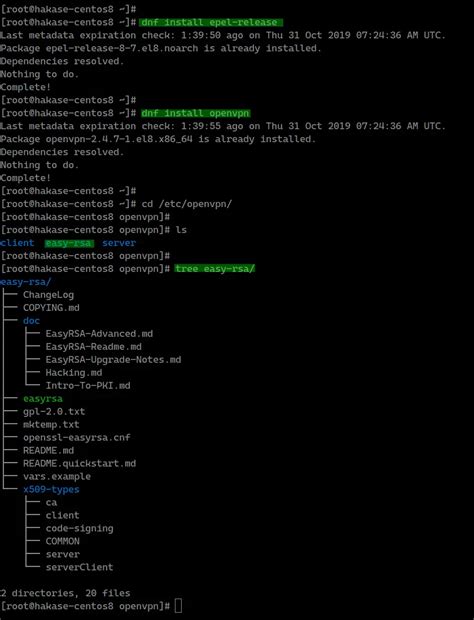 How To Install Openvpn Server And Client With Easy Rsa 3 On Centos 8