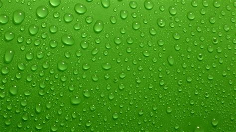 Green Colour Hd Wallpapers Nutritionjuja
