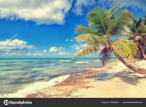 Tropical White Sandy Beach With Palm Trees Saona Island Domini