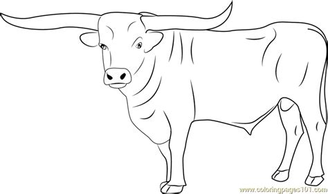 Printable Bull Riding Coloring Pages