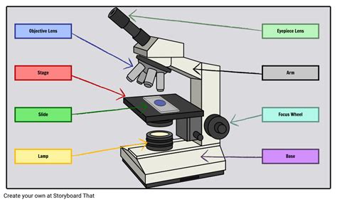 Drag and drop the text labels onto the microscope diagram. Labeled Microscope Storyboard by oliversmith