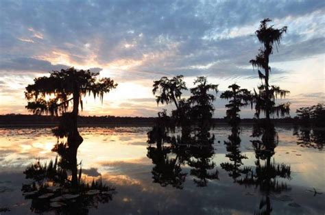 Everyone Should Explore These 12 Stunning Places In Louisiana At Least