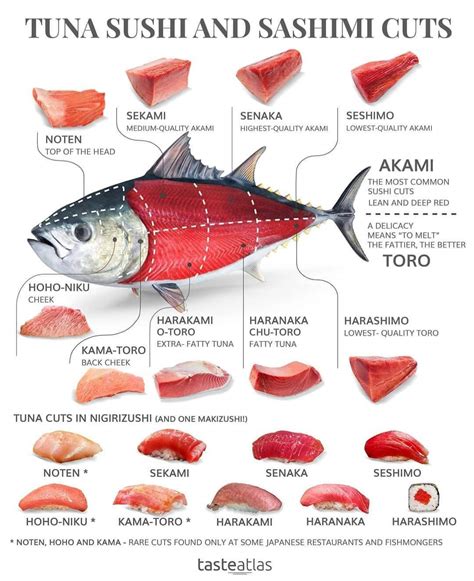 Tuna Sushi Ans Sashimi Cut Guide Rcoolguides