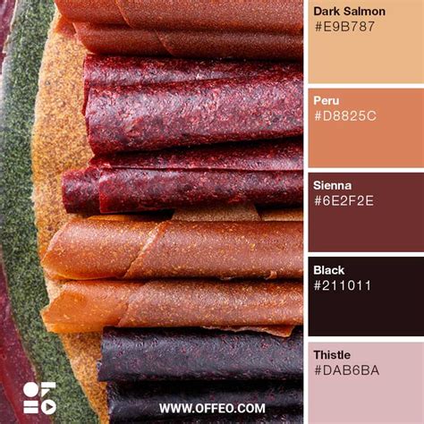 20 Earth Tones Color Palette With Example Hex Code Offeo Artofit