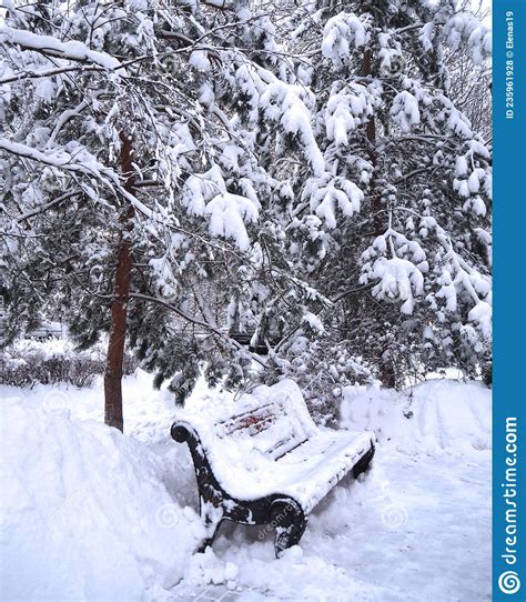 Winter Landscape Of Snow Covered Bench Among Snowy Trees During The