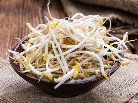 Amazing Health Benefits Of Bean Sprouts Organic Facts