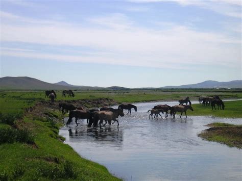 Mongolia | Mongolia, Down the river, Nature photos