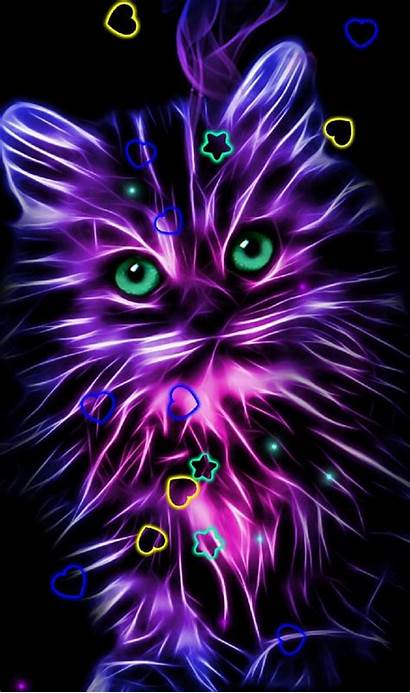 Neon Zedge Kitty Wallpapers Animal Cat Backgrounds