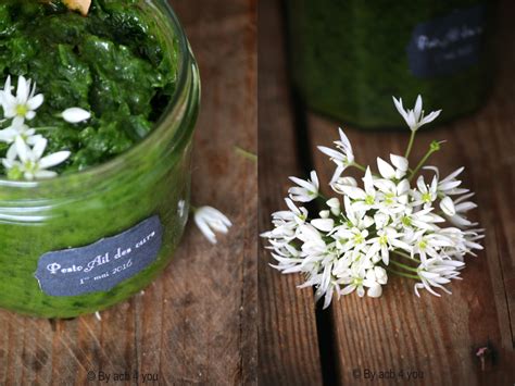 Recette facile de pesto à l ail des ours