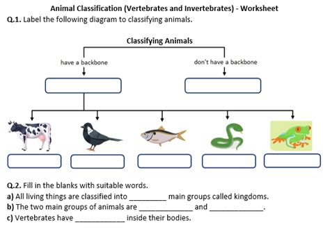Animal Classification Vertebrates And Invertebrates Distance