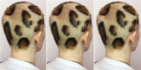 Albert has stated he loves cheetos albert has googled chester cheetah dead before, however, he does. Leopard Print Hair - Leopard Print Dye Job