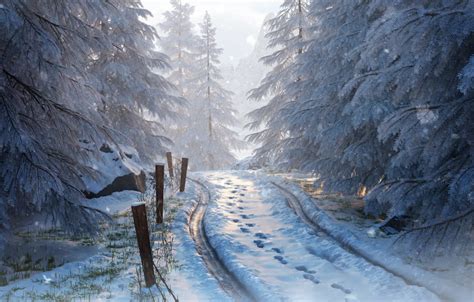 Wallpaper Winter Forest Snow Trees Nature Art Road Traces For