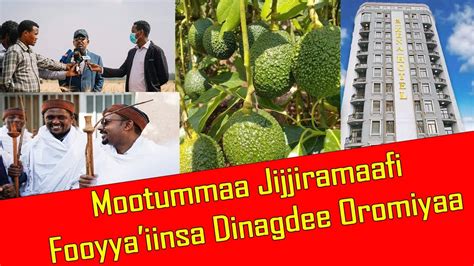 Mootummaa Jijjiramaafi Fooyyaiinsa Dinagdee Oromiyaa Youtube