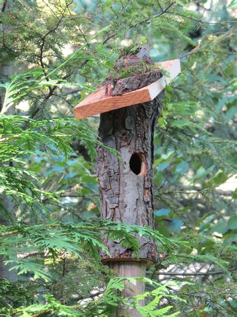 Here is important instruction on bird house designs. Pin by Angela Armstrong on Birdhouses | Bird houses, Bird ...