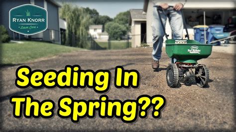 Seeding Your Lawn This Springwatch This First Spring Lawn Care