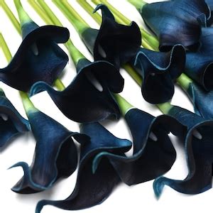 Fiveseasonstuff Stems Real Touch Dark Blue Calla Lilies Etsy