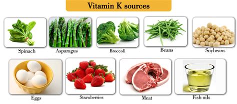 Best foods for vitamins a to k nutrition diet sources | 13 vitamins your body needsamazing video of vitamin and nutrient chart and 13 vitamins your body. Vitamin K (Farmakologi dan Manfaat) - Fadhila Alizza