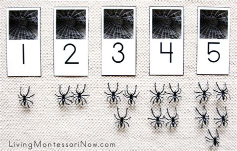 Free Spider Printables And Montessori Inspired Spider Math Activities
