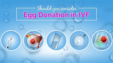 Should You Consider Egg Donation In Ivf Youtube