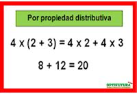 La propiedad distributiva de la multiplicación Matemáticas Optifutura