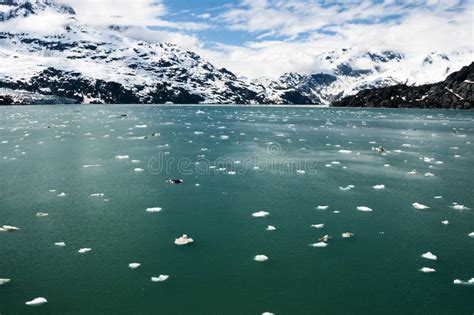 Parque Nacional Del Glacier Bay Imagen De Archivo Imagen De Nieve