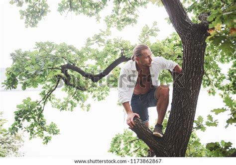 Young Man Climbed Tree Forest Look Stock Photo 1173862867 Shutterstock