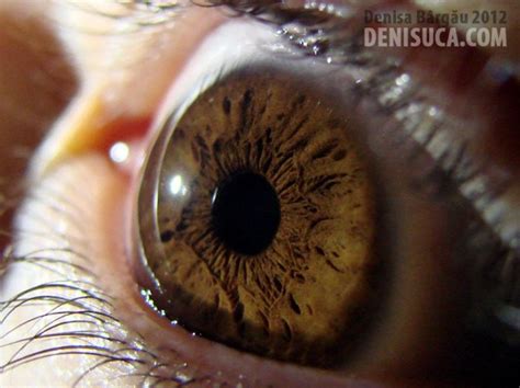 Ochiul Uman De Aproape Denisa Lala