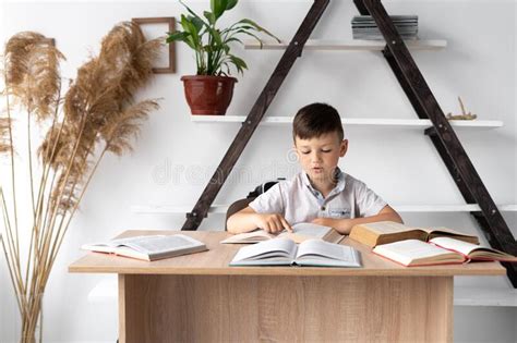 Portrait Of Upset Boy With Textbooks And Headache Schoolboy At A Desk