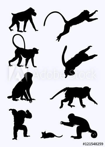 Monkeys Silhouette Buy This Stock Vector And Explore Similar Vectors