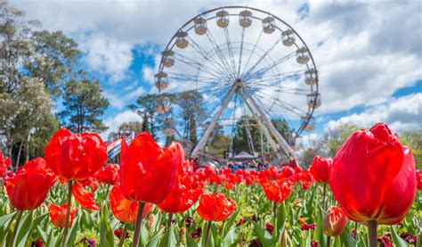 Your Guide To Canberras Floriade 2017