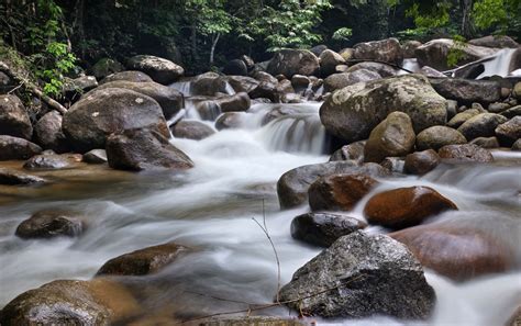 Di sini kami senaraikan 25 tempat makan menarik sekitar muar yang akan bikin anda tak sabar untuk serbu. Tempat Percutian Menarik di Johor | Blog Sihatimerahjambu