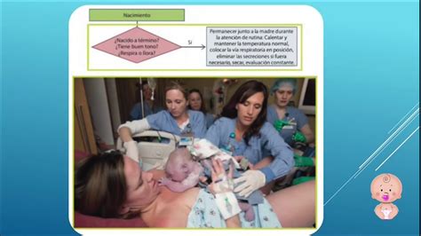 Reanimacion Neonatal Capitulo 31 Pasos Iniciales De La Atencion Del
