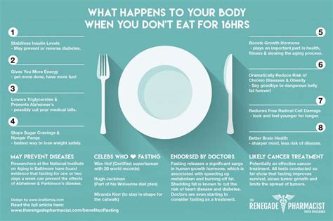 8 Fasting Benefits You Need To Know About Infographic The Renegade