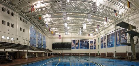 Csu Swimming And Diving