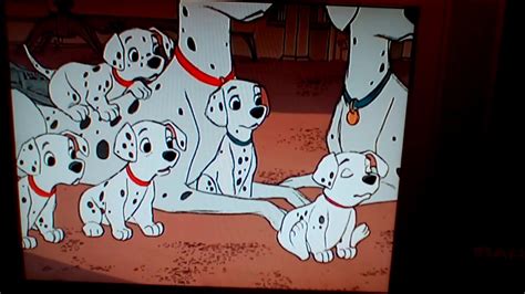 101 Dalmatians Dvd💿pongo Perdita And The Dalmatian Puppies Watching Thunderbolt On Tv Scene Youtube